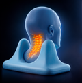 Deep Tissue Psoas & Back Muscle Relief Tool